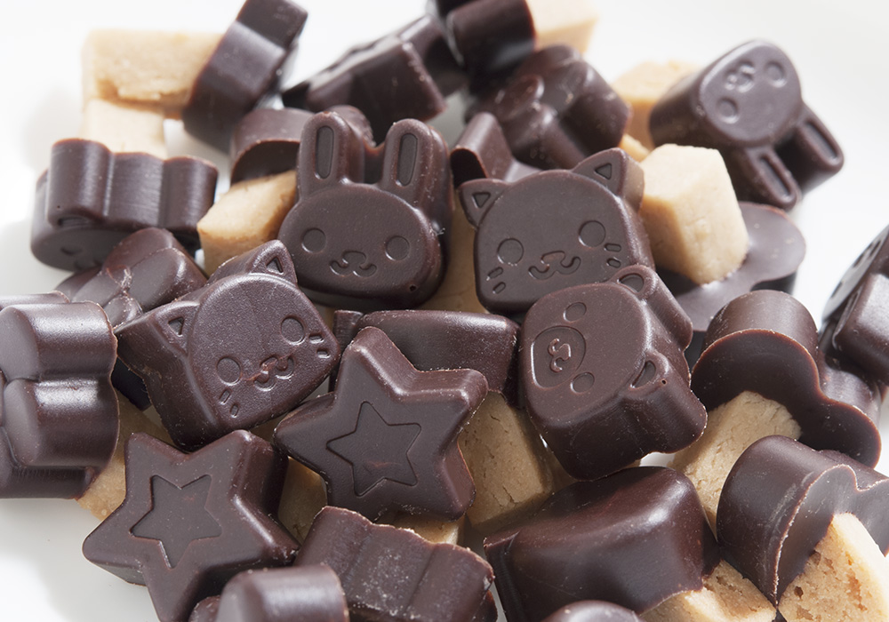 もぐもぐ工房の　チョコっとちょこビス